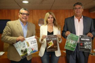 Torneos deportivos 2016