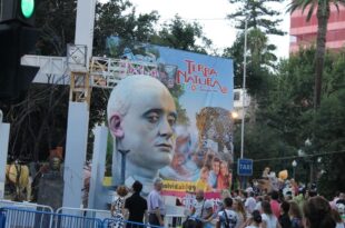 Ficus de Calvo Sotelo